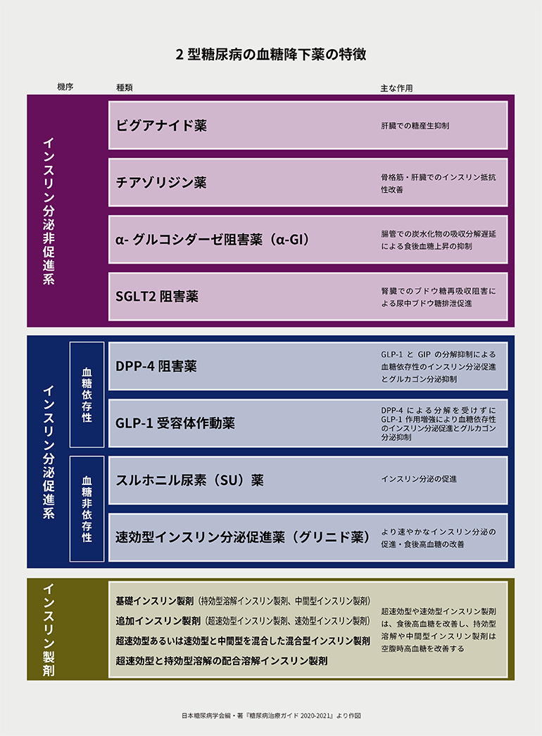 【ヒント★04】新しく追加された糖尿病治療薬｜二田哲博クリニック姪浜 院長　下野大