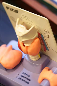 甲状腺の病気は、早期に正しく診断し適切な治療を行えば命にかかわることはほとんどありません。　二田哲博クリニック 理事長 二田哲博