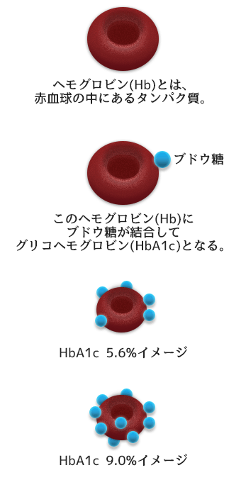 HbA1cとは