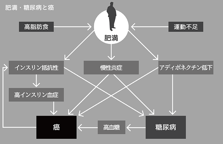 肥満・糖尿病と癌の関係