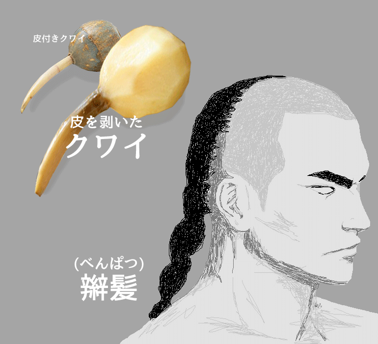 クワイと辮髪（べんぱつ）