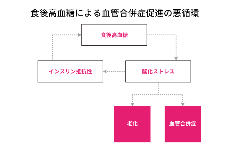 食後高血糖による血管合併症促進の悪循環