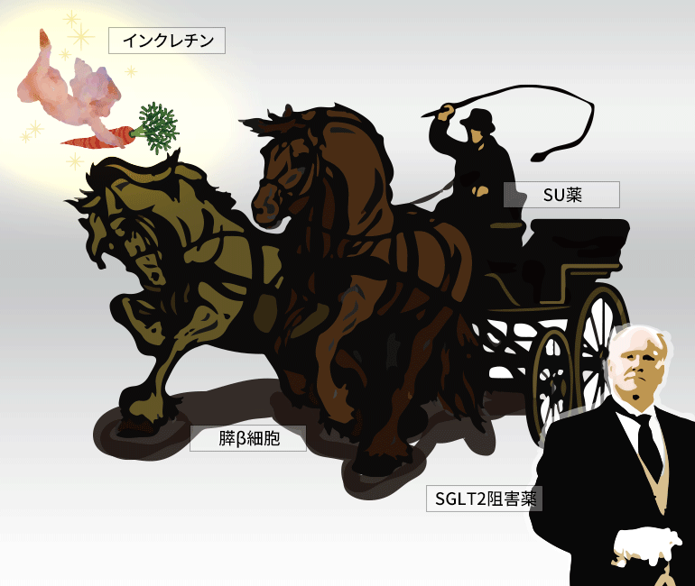 SGLT2阻害薬って。