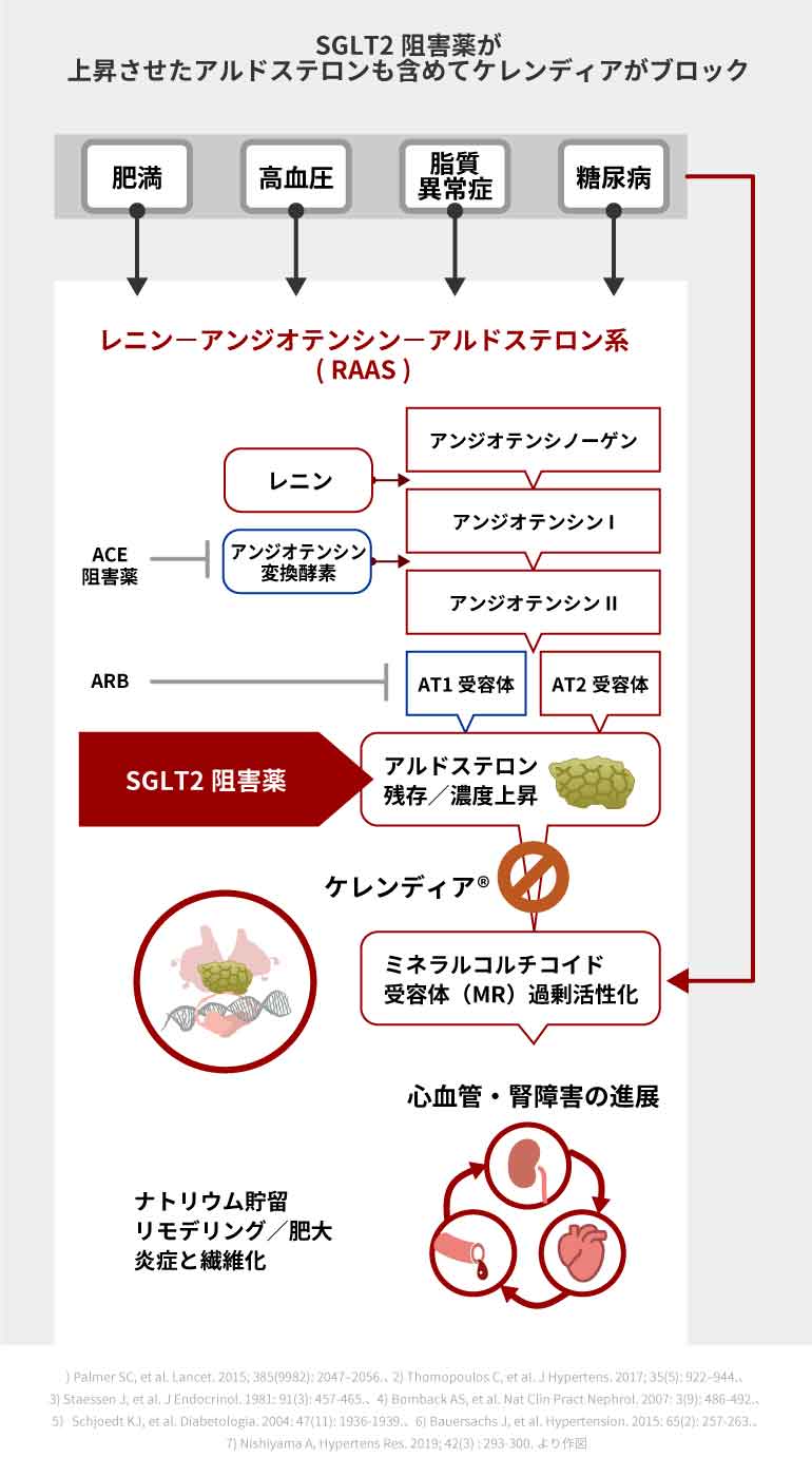 糖キング第52話「Dear ケレンディア」SGLT2阻害薬が上昇させたアルドステロンも含めてケレンディアがブロック　野見山崇