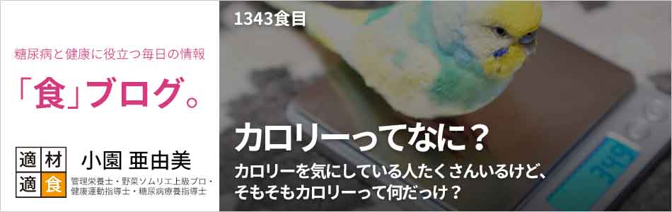 糖尿病と健康に役立つ情報「食」ブログ【適材適食】小園亜由美（管理栄養士・野菜ソムリエ上級プロ・健康運動指導士・糖尿病療養指導士・日本化粧品検定1級）