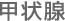 甲状腺