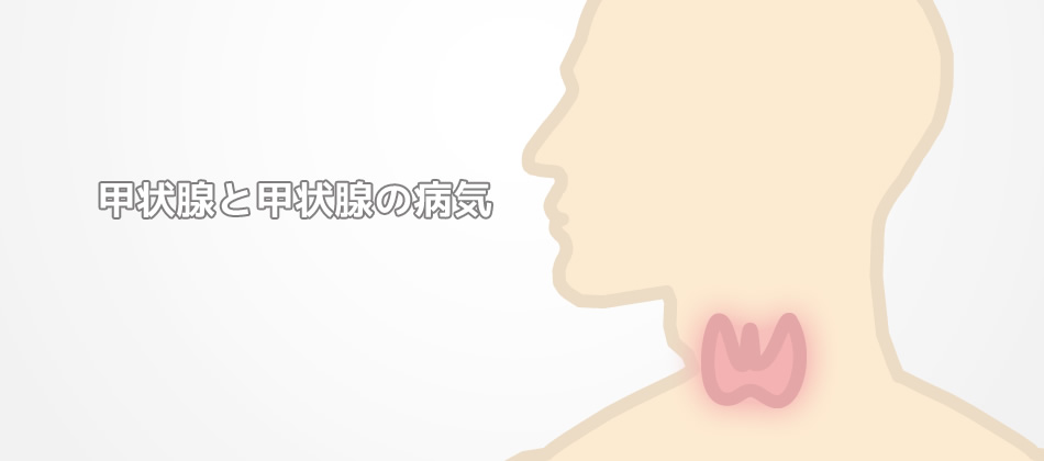 甲状腺と甲状腺の病気