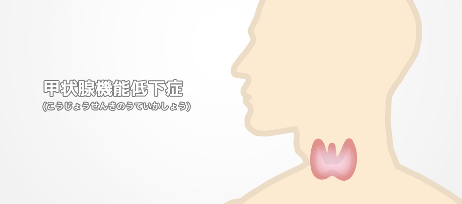  甲状腺機能低下症  (こうじょうせんきのうていかしょう)